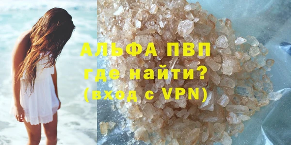 молекула духа Арсеньев