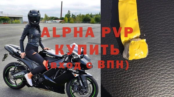 молекула духа Арсеньев