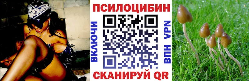 Галлюциногенные грибы Psilocybe  блэк спрут ONION  Гуково 