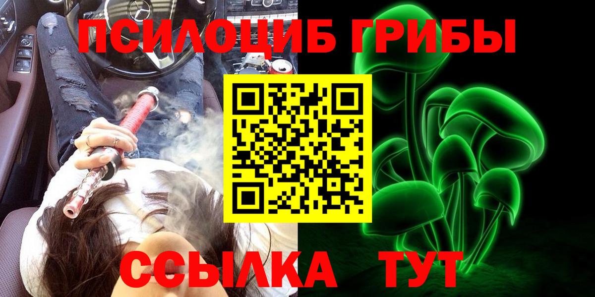 Псилоцибиновые грибы мухоморы Гуково